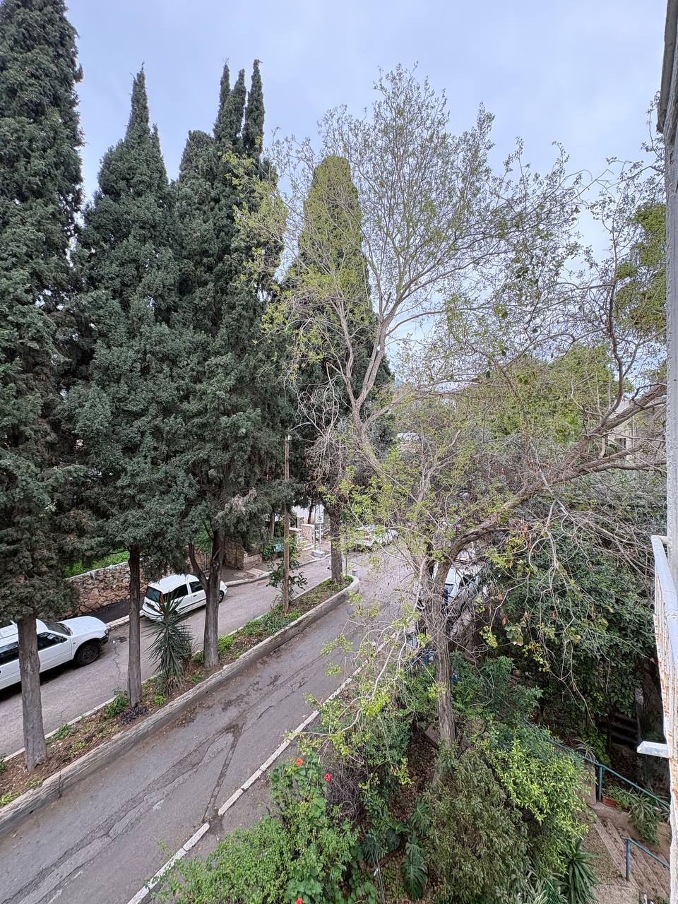 דירה 3.5 חדרים להשכרה ברחוב בר גיורא 23 חיפה - תמונה 1