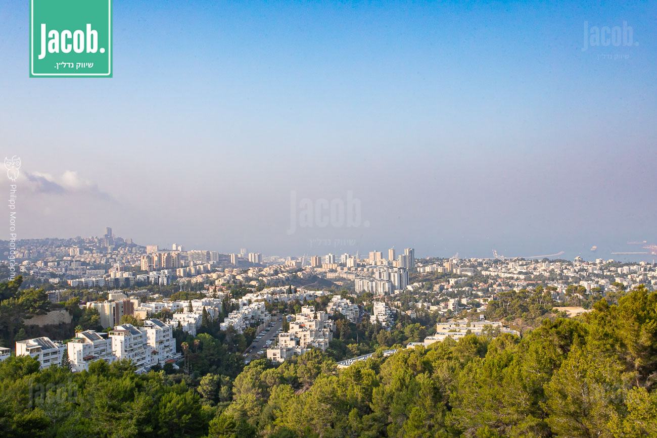 למכירה ברחוב התאנה - חיפה - תמונה 41