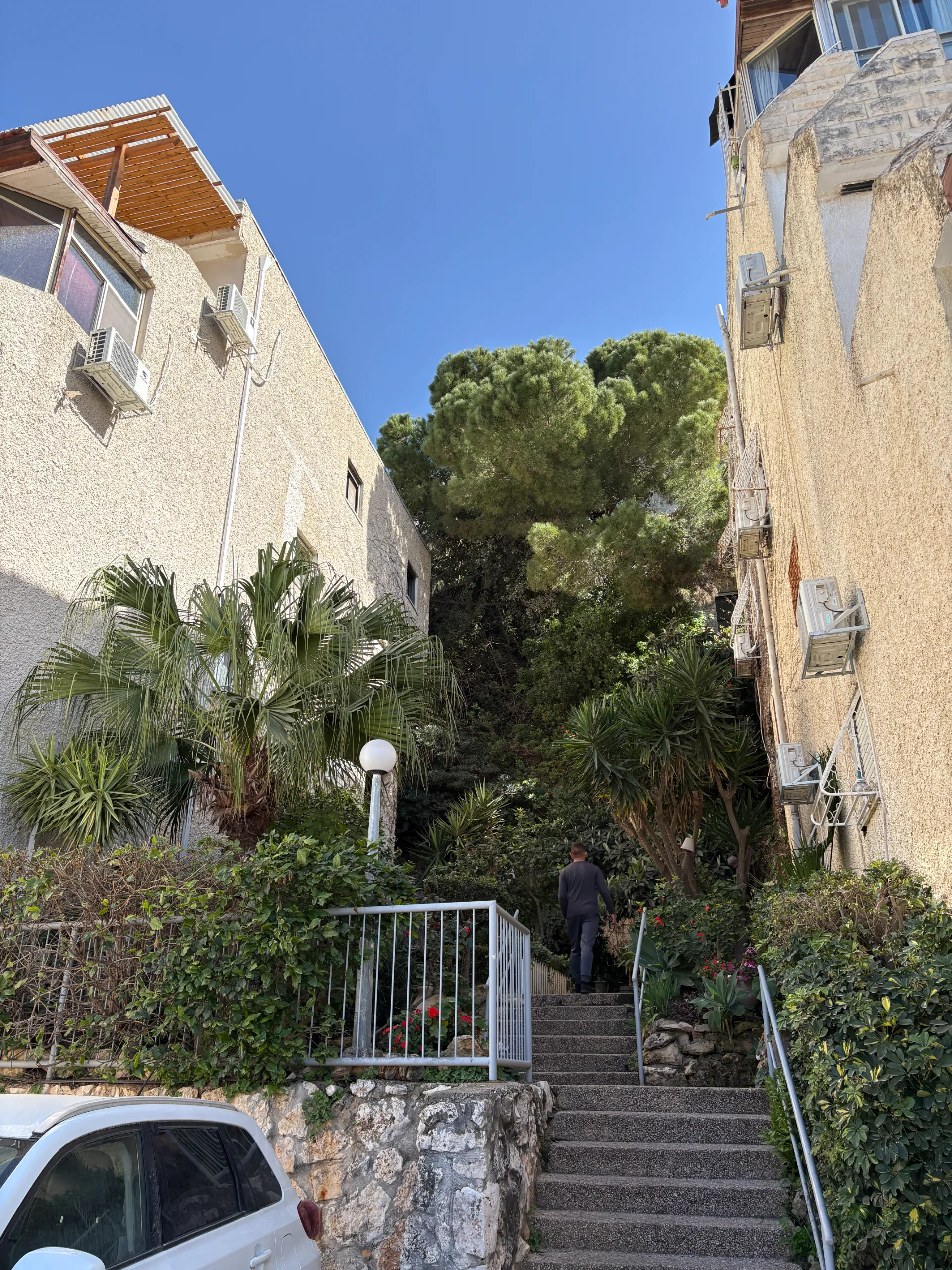 למכירה ברחוב שימקין - חיפה - תמונה 12