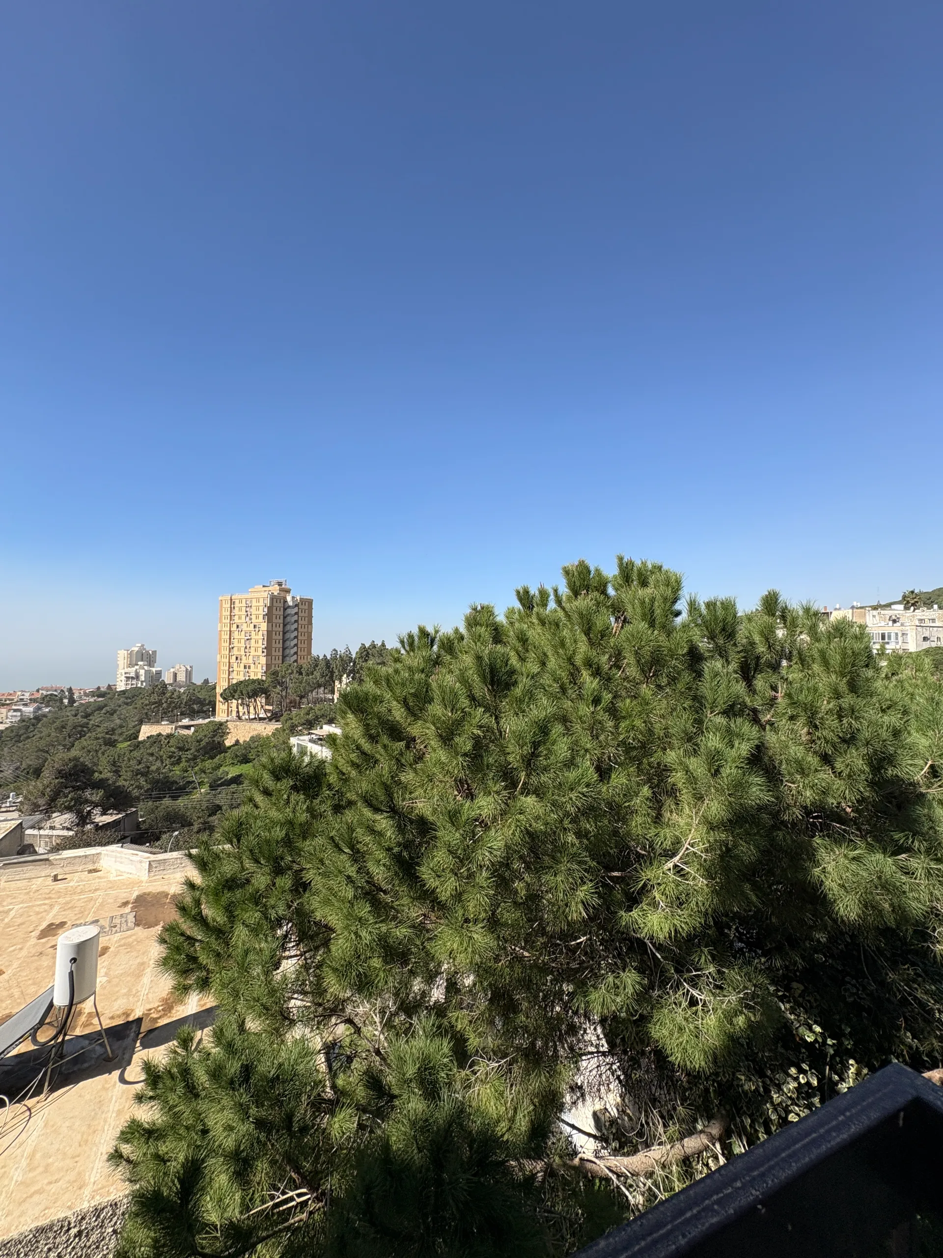 למכירה ברחוב שימקין - חיפה - תמונה 22