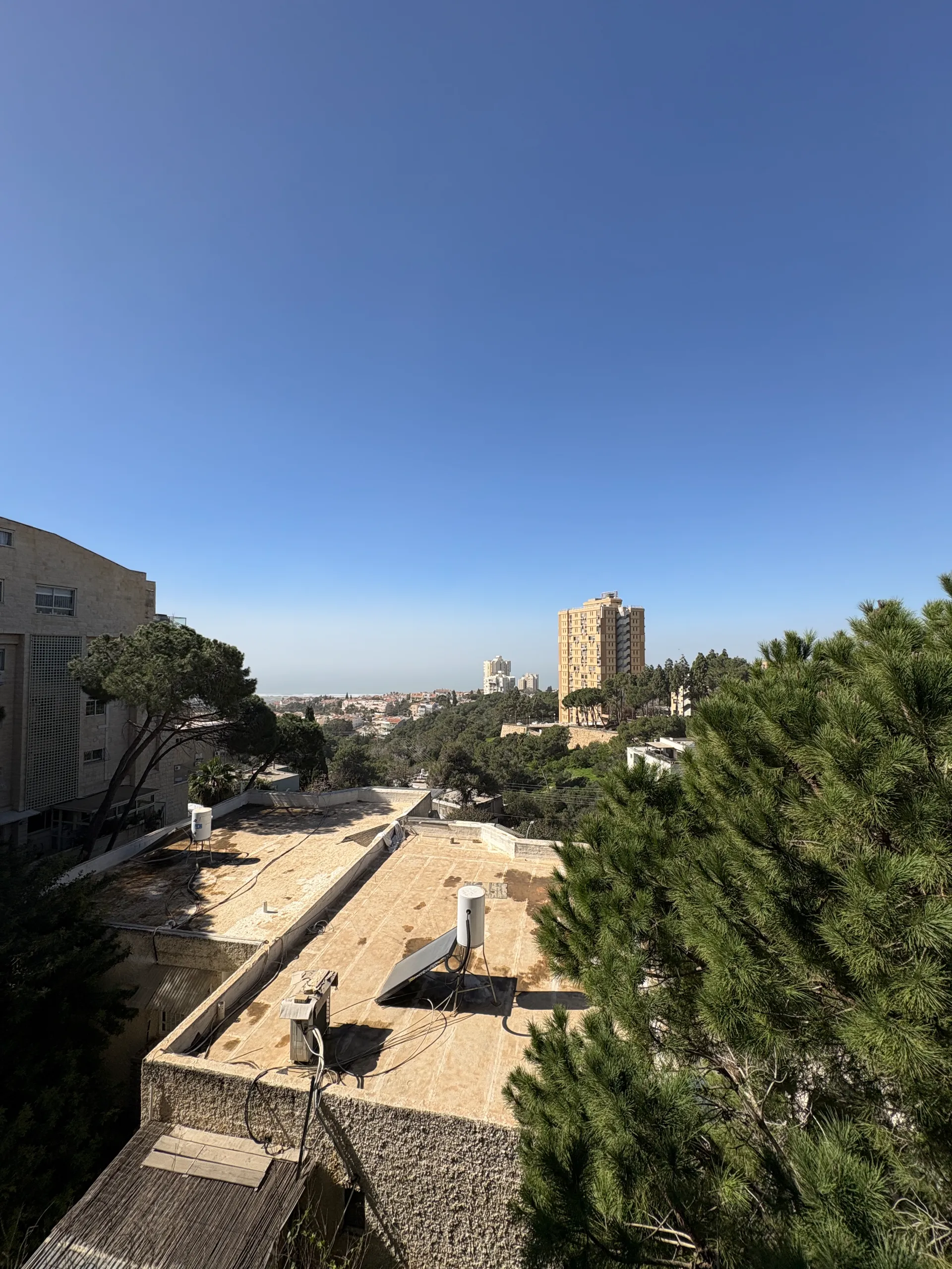 למכירה ברחוב שימקין - חיפה - תמונה 23