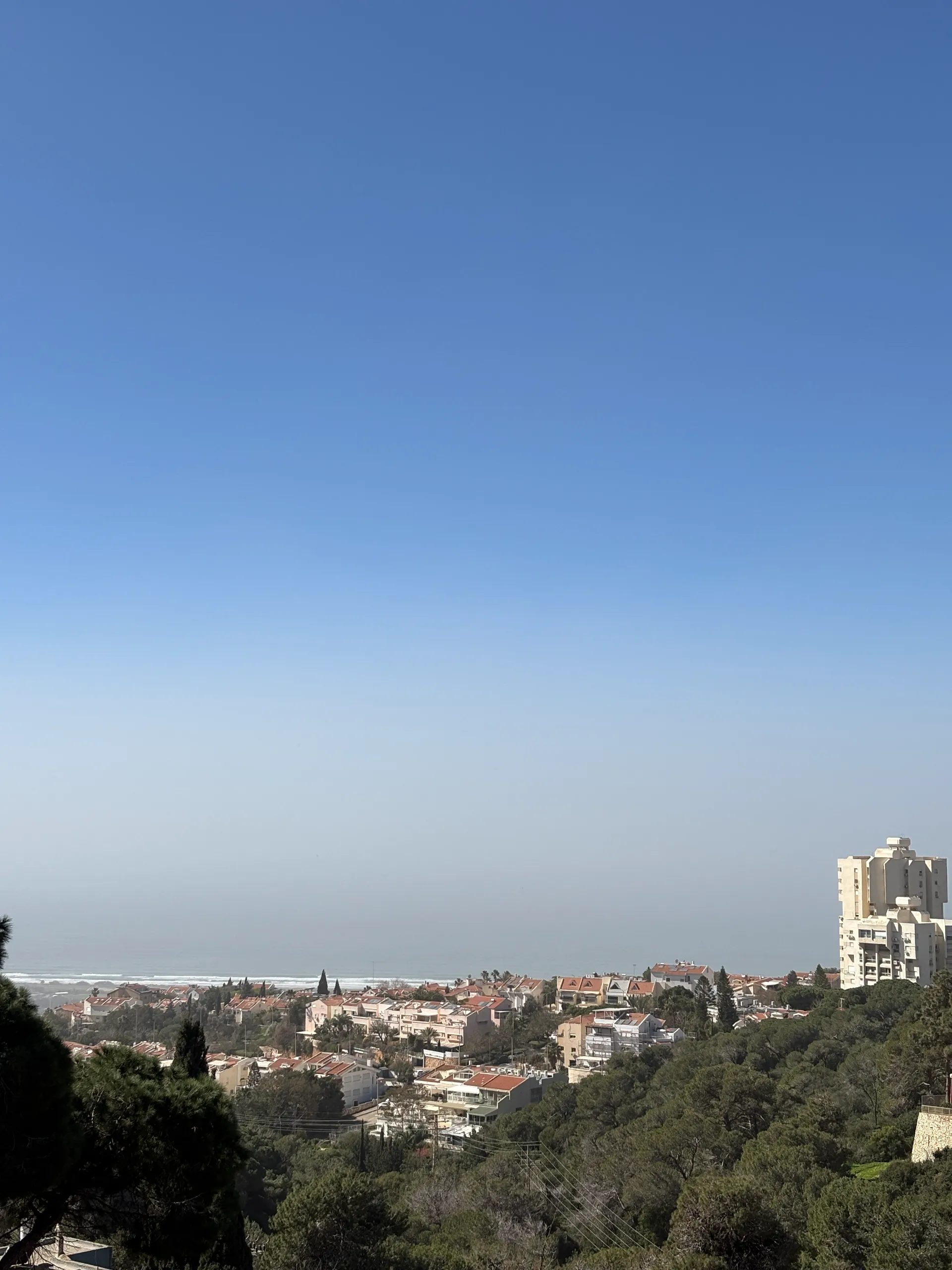 למכירה ברחוב שימקין - חיפה - תמונה 1